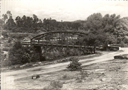 VIDAUBAN - Le Pont Sur L'Aille - Vidauban