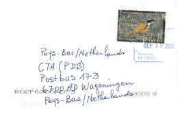 Haiti 2002 Port Of Prince Grey-crowned Tanager Phaenicophilus Poliocephalus Cover - Haiti