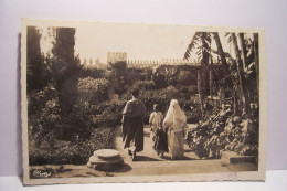 RABAT    - ( Maroc )  -    Flaneries Dans Le Jardin Des Oudaias - Rabat