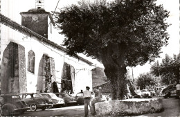 RAMATUELLE - La Place De L'Ormeau Et Le Clocher - Ramatuelle