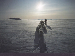 Greenland PPC Hundeslædekørsel I Nordøstgrønland Dogsledge Attelage Du Chiens (2 Scans) - Groenland