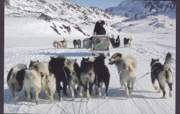 Greenland PPC Hundeslædekørsel Dogsledge Attelage Du Chiens (2 Scans) - Groenland