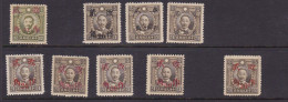 China Republic Martyr Ovpt Various Provinces 9 Unused Stamps - 1912-1949 Republik