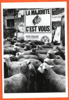 Humour Moutons Majorité C Est Vous Animaux Mouton  Photo Maltete Carte Vierge TBE - Humour