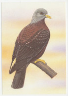 Postal Stationery Sao Tome And Principe Bird - Pigeon - Dove - Sonstige & Ohne Zuordnung