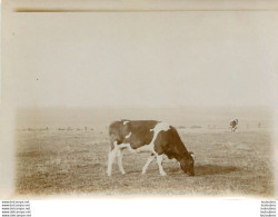 LAGNY LE SEC FERME DE CHANTEMERLE PHOTO ORIGINALE DEBUT 1900 FORMAT 9 X 6.50 CM R7 - Other & Unclassified