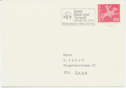 Card / Postmark Switzerland Panda Bear - Andere & Zonder Classificatie