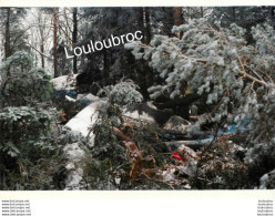 ACCIDENT AIRBUS A320 AU MONT SAINTE ODILE 87 MORTS 20/01/1992 PHOTO AGENCE  ANGELI 27 X 18 CM Ref4 - Luchtvaart