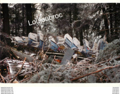 ACCIDENT AIRBUS A320 AU MONT SAINTE ODILE 87 MORTS 20/01/1992 PHOTO AGENCE  ANGELI 27 X 18 CM Ref5 - Luftfahrt