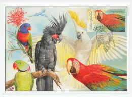 Maximum Card Czech Republic 2004 Bird - Macaw - Parrot - Other & Unclassified