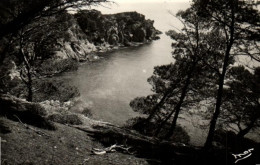 France > [83] Var > Ile De Porquerolles - Pointe De L'Oustaou De Déou - 8859 - Porquerolles