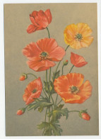 Postal Stationery Soviet Union 1956 Flower - Andere & Zonder Classificatie
