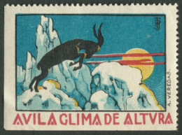 ESPAGNA Spain ~1934 " AVILA Clima De Altura " Vignette Cinderella Reklamemarke Sluitzegel - Erinnophilie