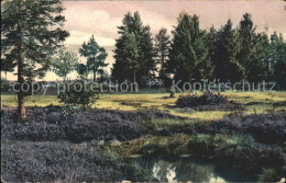 71913602 Hoechenschwand Hochmoor Und Heide Hoechenschwand - Höchenschwand