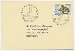 Cover / Postmark Luxembourg1961 Dog - Cat - Animal Welfare - Other & Unclassified
