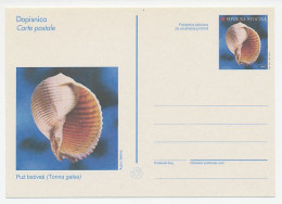 Postal Stationery Croatia 1997 Shell - Tonna Galea - Vita Acquatica