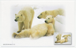 Postal Stationery China 1999 Polar Bear - Arctische Expedities