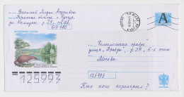 Postal Stationery Rossija 1999 Russian Desman - Mole - Sonstige & Ohne Zuordnung