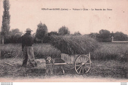 SULLY SUR LOIRE VOITURE A CHIEN LA RENTREE DES FOINS - Sully Sur Loire