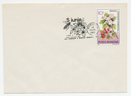 Cover / Postmark Romania 1994 Bee - Flower - Other & Unclassified