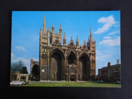ANGLETERRE ENGLAND - PETERBOROUGH CATHEDRAL CATHEDRALE - Sonstige & Ohne Zuordnung
