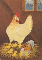 EASTER CHICKEN EGG Vintage Postcard CPSM #PBO871.A - Pâques