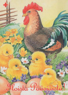 PASQUA POLLO UOVO Vintage Cartolina CPSM #PBO783.A - Easter