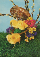 OSTERN HUHN EI Vintage Ansichtskarte Postkarte CPSM #PBO610.A - Easter