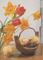 OSTERN HUHN EI Vintage Ansichtskarte Postkarte CPSM #PBO625.A - Pâques