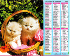 CALENDRIER ALMANACH LAVIGNE DU FACTEUR DES PTT 1992 CHIEN CHAT - Big : 1991-00