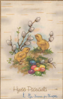 PASQUA POLLO UOVO Vintage Cartolina CPA #PKE088.A - Easter