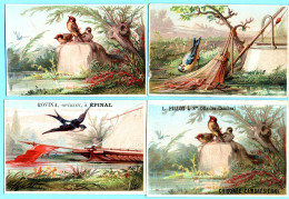 Lot De 4 Chromos, Thème Les Oiseaux. Différentes Publicités. Imp. Dubourg Et Laas. - Albums & Catalogues