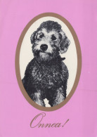 PERRO Animales Vintage Tarjeta Postal CPSM #PAN933.A - Hunde