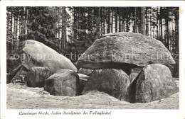 71913020 Lueneburger Heide Sieben Steinhaeuser Bei Fallingbostel Lueneburger Hei - Walsrode