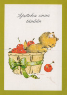 KATZE MIEZEKATZE Tier Vintage Ansichtskarte Postkarte CPSM #PAM265.A - Cats