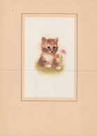 GATTO KITTY Animale Vintage Cartolina CPSM #PAM228.A - Cats