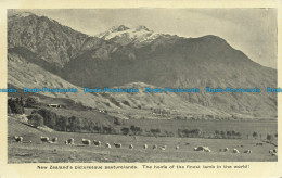 R631328 New Zealand Picturesque Pasturelands - Wereld