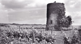 SAINT  - EXUPERY ,,, SUPERBE  PHOTO DU   MOULIN A VENT DU XVI é  SIECLE    30  X 20  Cm   DES ANNEES 1990 - Lieux