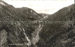 71912869 Hoellental Schwarzwald Panorama Hoellental - Autres & Non Classés