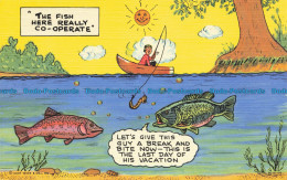R631579 The Fish Here Really Co Operate. C. T. Art Colortone - Wereld