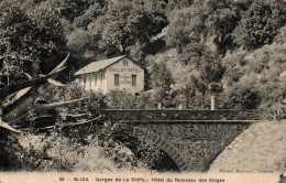 N°4300 W -cpa Blida -gorges De La Chiffa- Hôtel Du Ruisseau Des Singes- - Blida