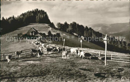 71912840 Kaelbelescheuer Almengaststaette Und Jungviehweide Kaelbelescheuer - Autres & Non Classés