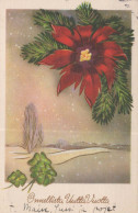 Bonne Année Noël Vintage Carte Postale CPSMPF #PKD688.A - Nouvel An