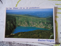 Cpm Hautes-vosges  Le Lac Blanc - Sonstige & Ohne Zuordnung