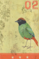 UCCELLO Animale Vintage Cartolina CPSM #PAN375.IT - Birds