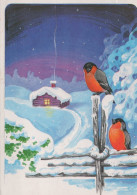 UCCELLO Animale Vintage Cartolina CPSM #PAN006.IT - Oiseaux