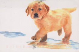 CANE Animale Vintage Cartolina CPSM #PAN565.IT - Chiens