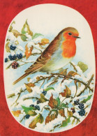 UCCELLO Animale Vintage Cartolina CPSM #PAN066.IT - Oiseaux