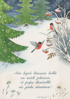 UCCELLO Animale Vintage Cartolina CPSM #PAM942.IT - Vogels