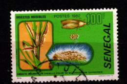 - SENEGAL - 1982 - YT N° 572 - Oblitéré - Insecte - Sénégal (1960-...)